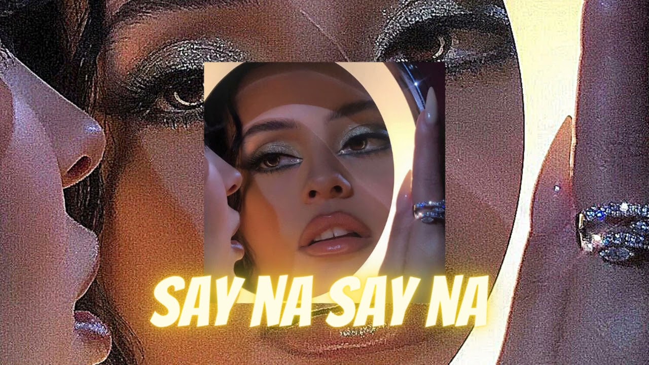 Say Na Say Na Song by Aneela Mirza, Johan Bejerholm, and Robert Uhlmarash