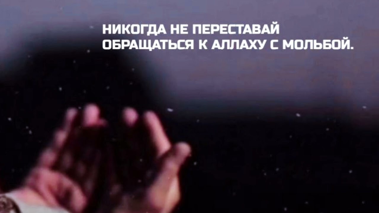 Шейх Яхья | Доlа дарах лаьцна.