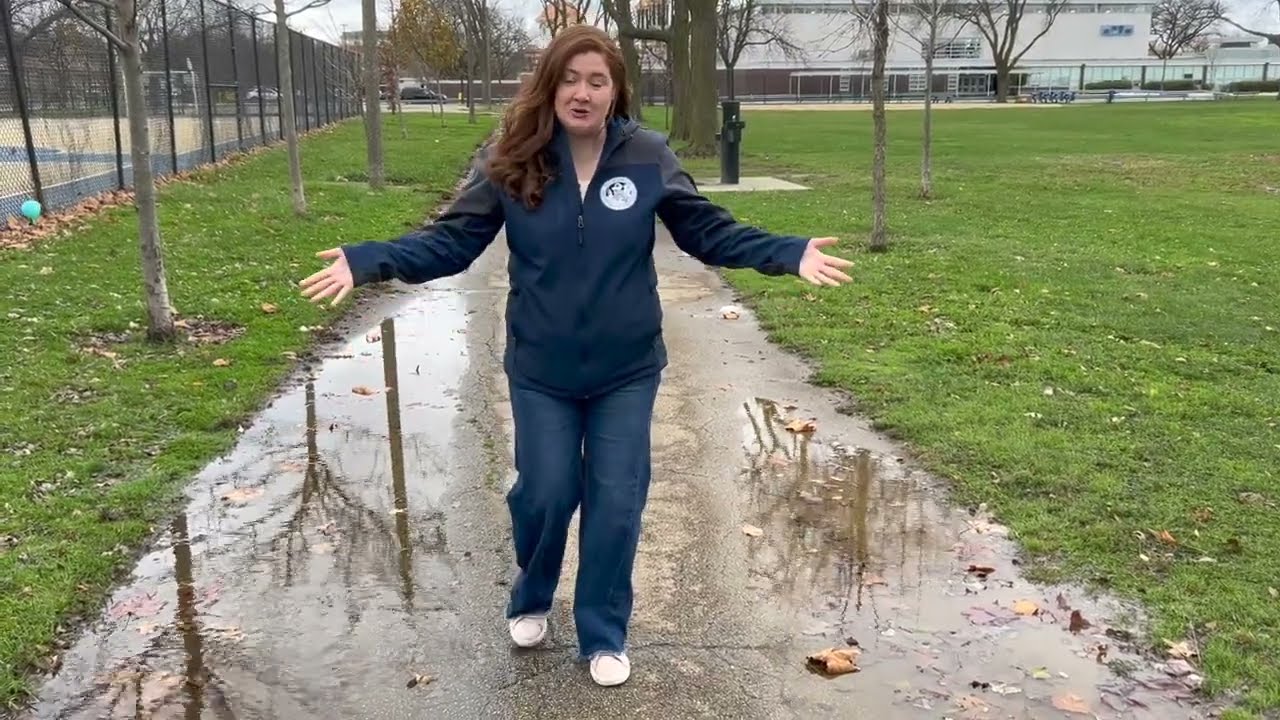 2025 People's Budget: Mather Park Improvements