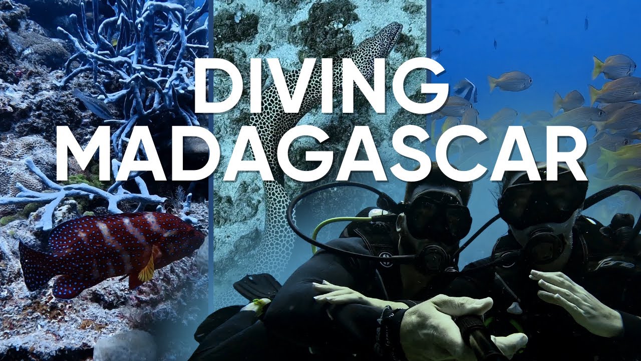 DIVING MADAGASCAR - NOSY BE (SAKATIA)