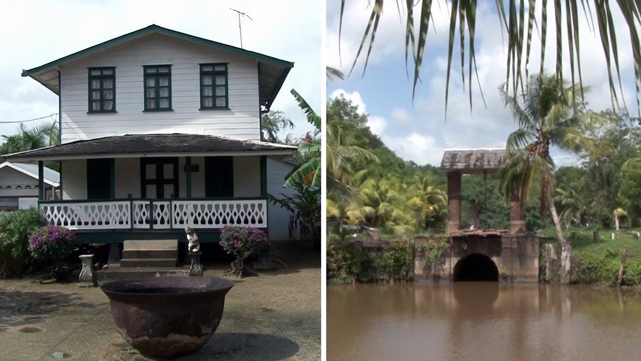 Warrapakreek - Suriname