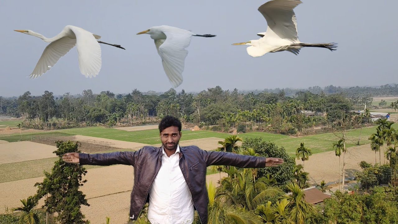 উপর থেকে আমাদের গেরাম কিরকম লাগে Vloge video