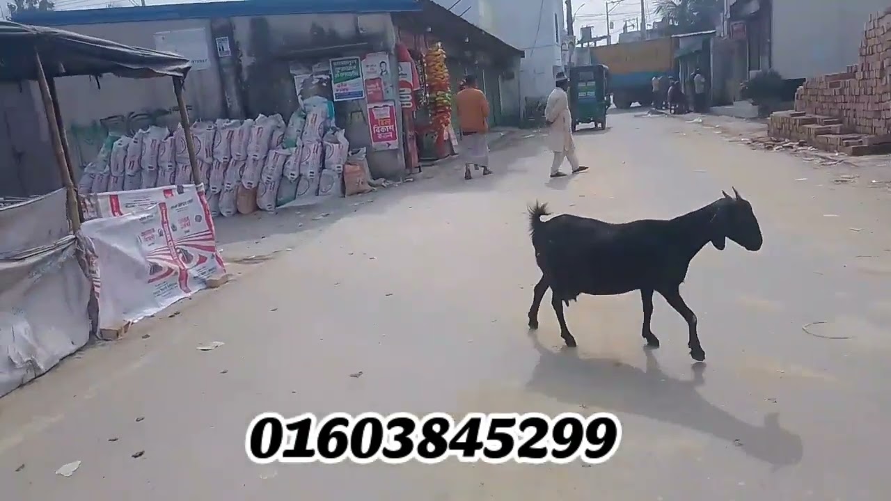 গাজীপুর সিটি বোড বাজার ১০ কাঠার প্লট আর্জেন্ট বিক্রি হবে মূল্য ৩০ লাখ টাকা কাঠা  01718964630