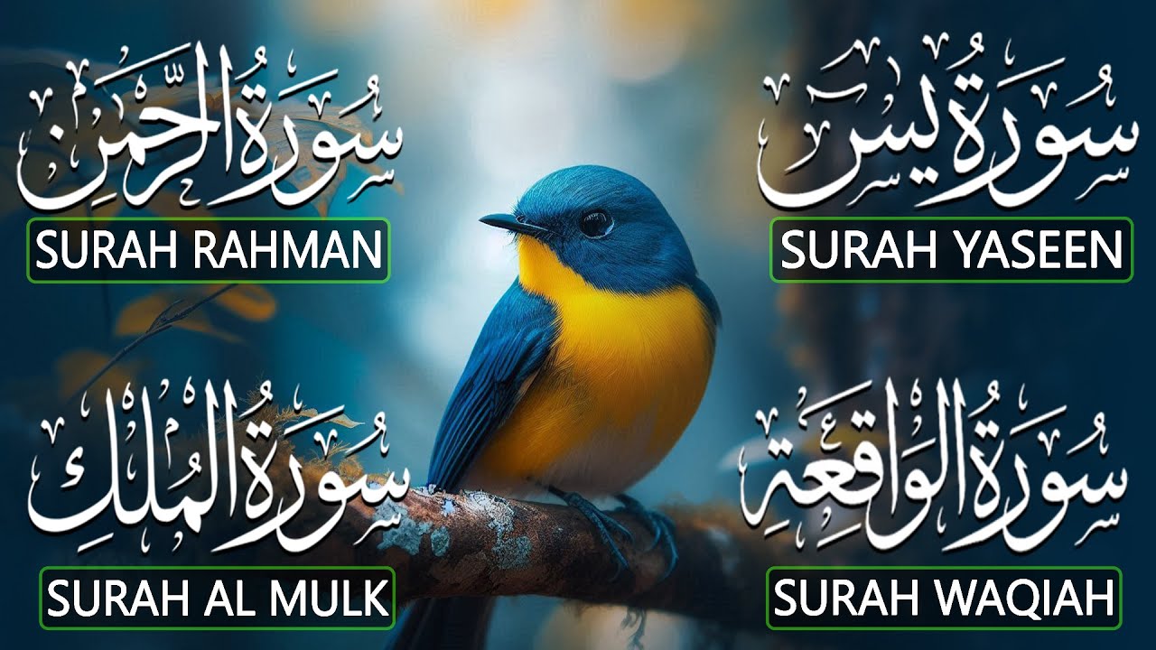 The Best Recitation Surah Yaseen Yasin  Surah Rahman  Surah Waqiah  Surah Mulk