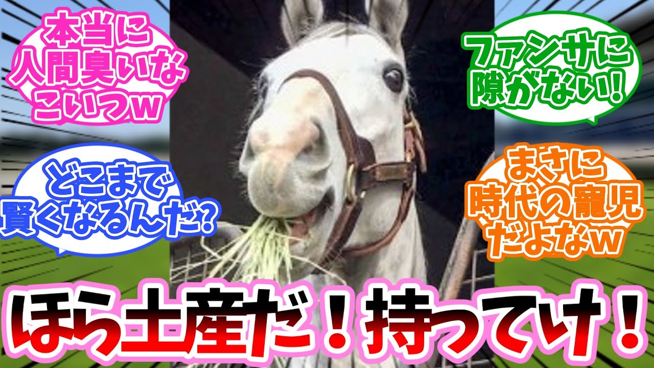【ゴルシ】こんな寒い中よー来たな！に対するみんなの反応集【競馬】