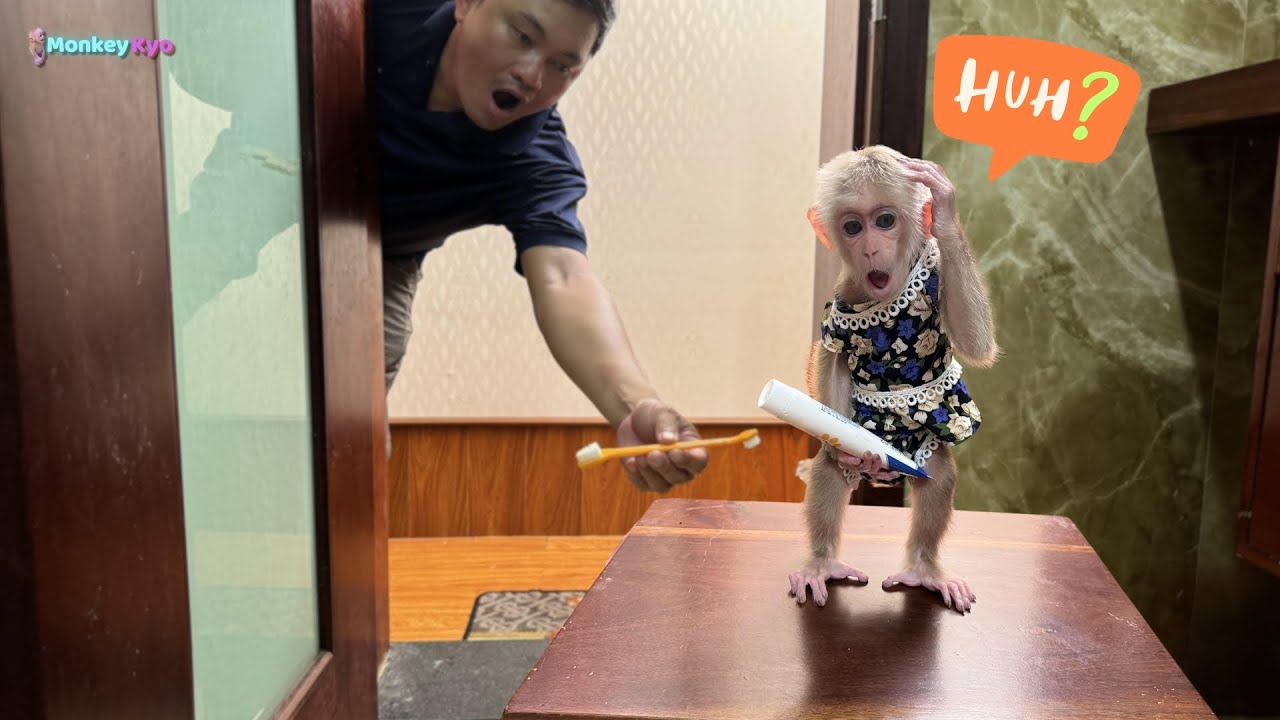 Kyo asked Dad to brush her teeth before breakfast - Adorable action!