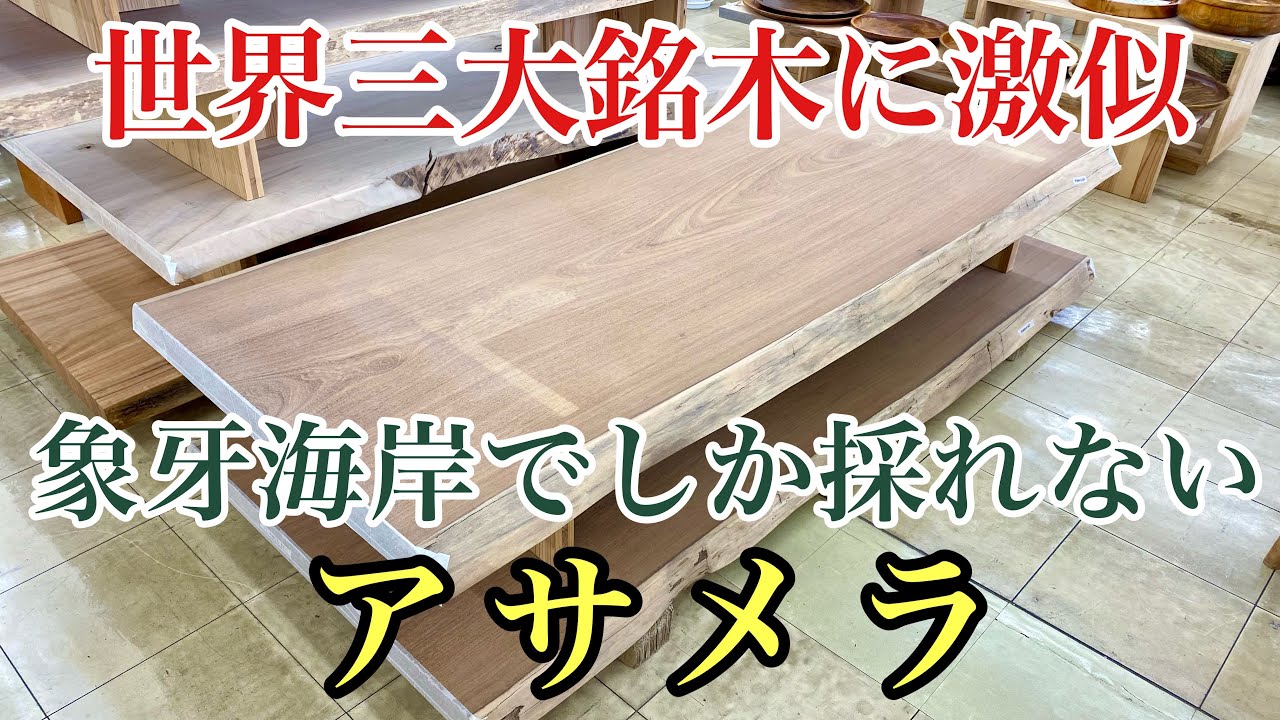 【世界三大銘木チーク激似】アサメラ一枚板はプロが好む超人気樹種