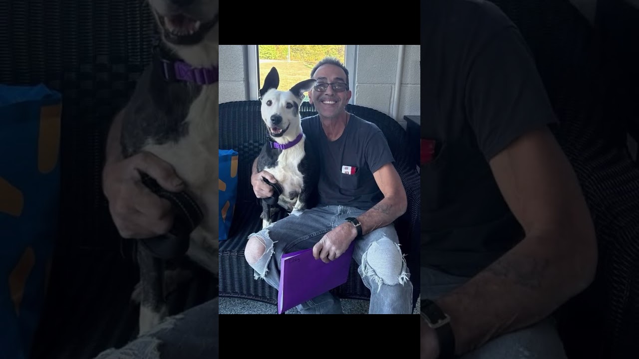 Man’s Best Friend — Official Video