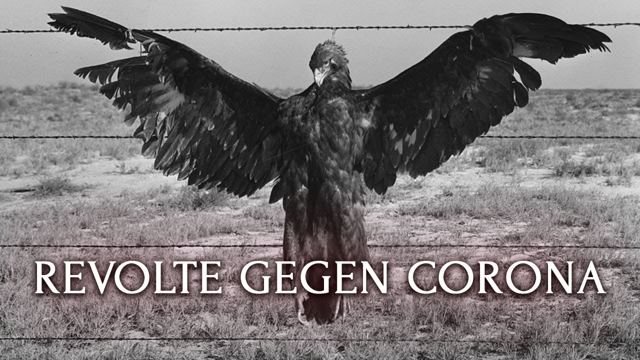 Revolte gegen das Corona Virus! | Literatur ist Alles