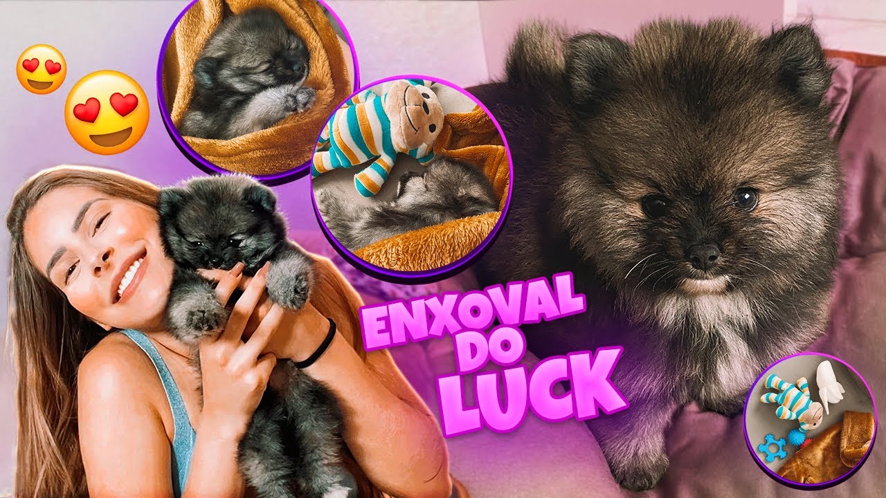 ENXOVAL DO LUCK - COMPRINHAS PARA MEU CACHORRINHO