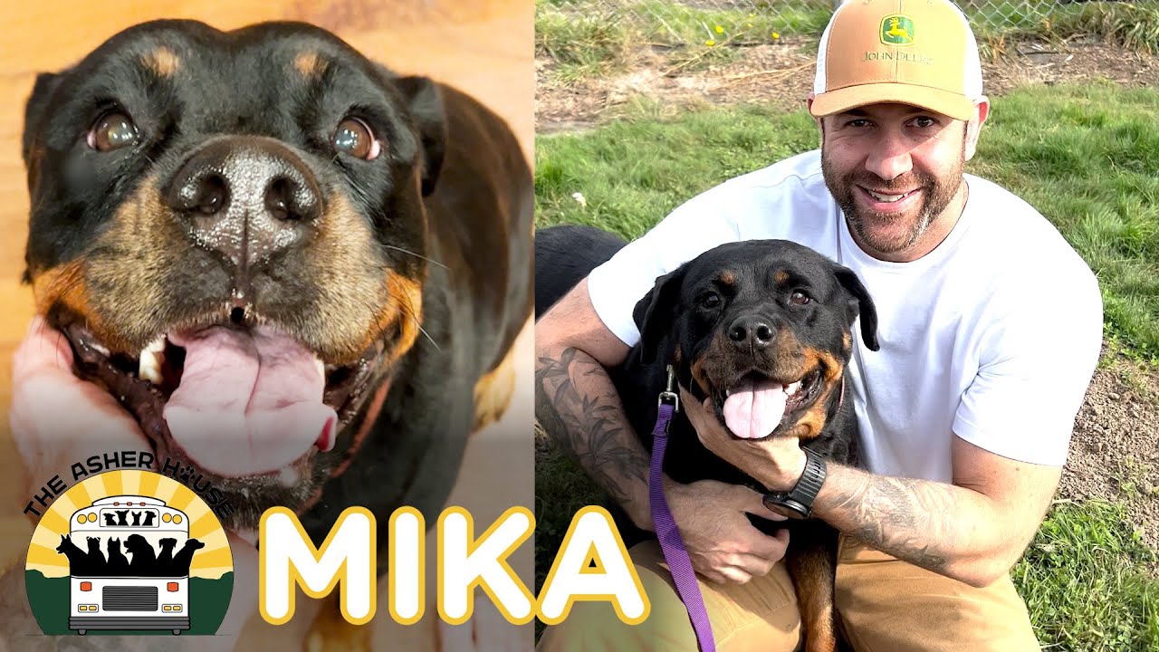 Mika went through an extremely traumatic experience, now she's safe | The Asher House