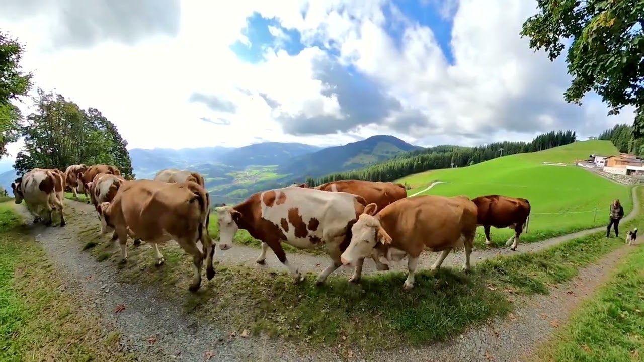 Astbergbahn und Blattlalm - 3.Teil Wanderreise Schwäbischer Albverein Ortsgruppe Hechingen