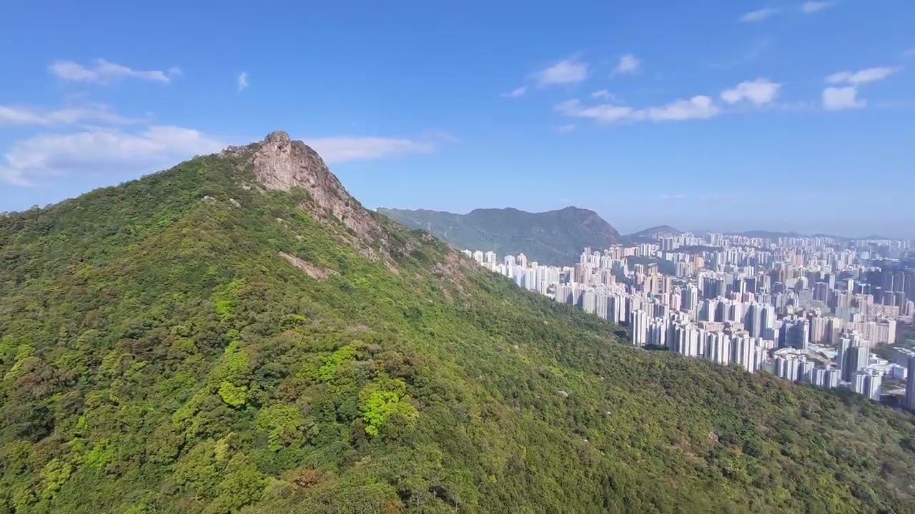 20260316 筆架山與獅子山之間之山路出發