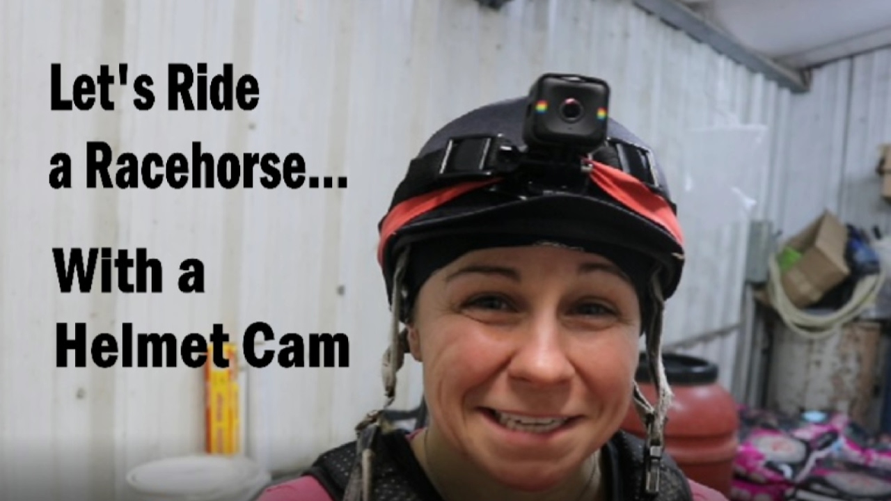 Let's Ride a Racehorse!