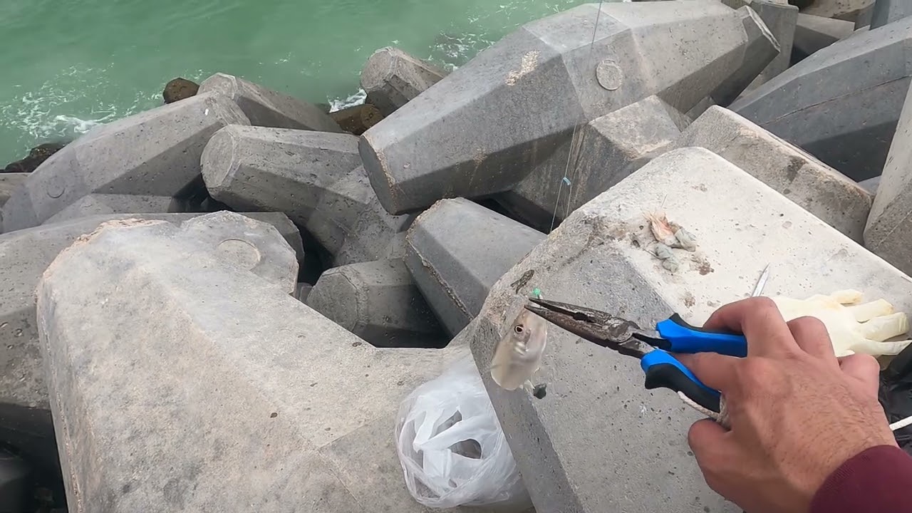 3rd Time Visit in Duqum Port Fishing