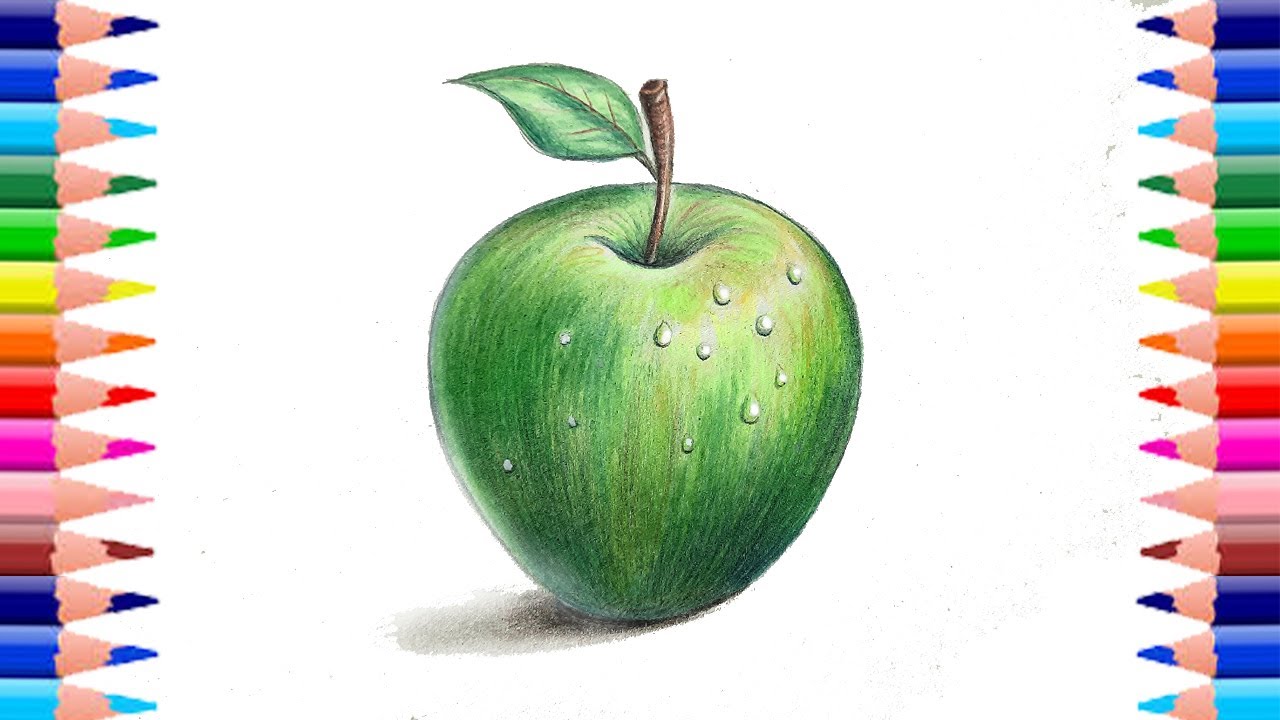 How to Draw a green Apple easy step by step for beginners