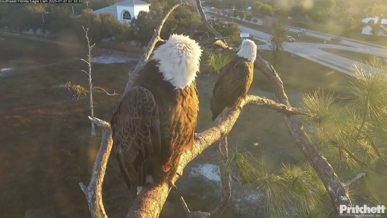 E25 tries to wake up E24 | SWFL Eagles | Jan 27, 2025