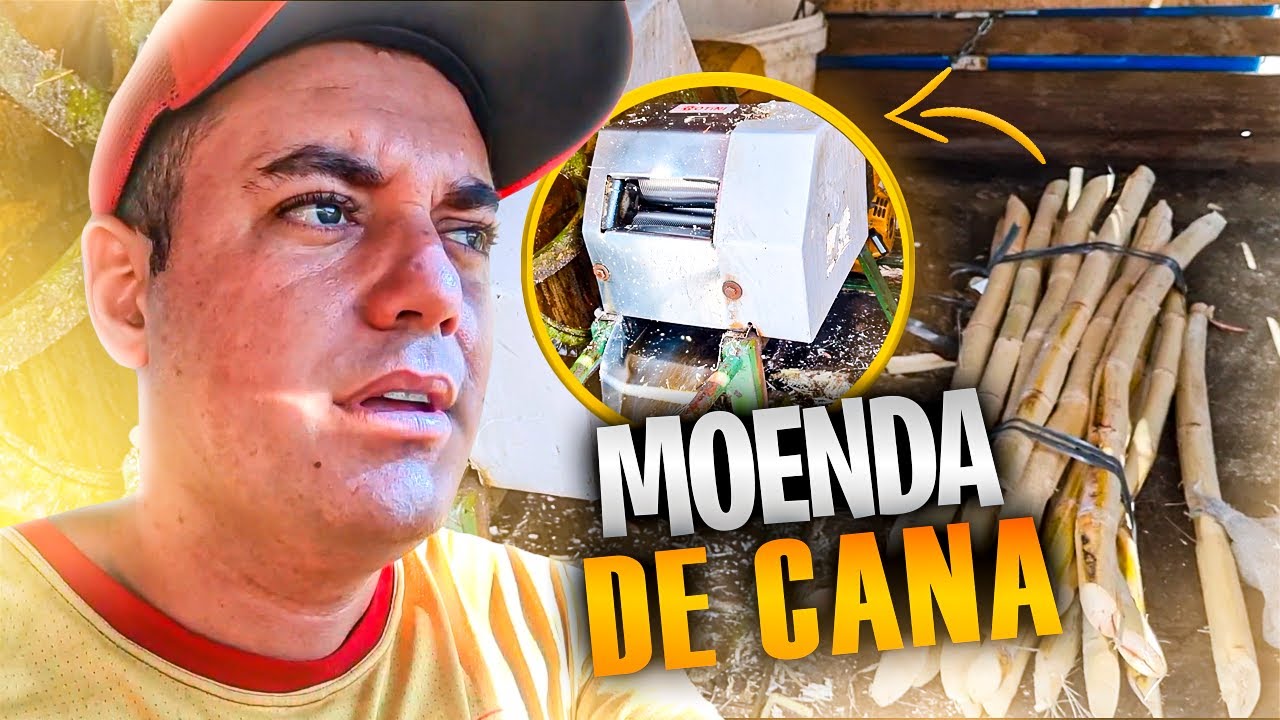 Como Escolher a Moenda Certa para Sua Barraca Inicial