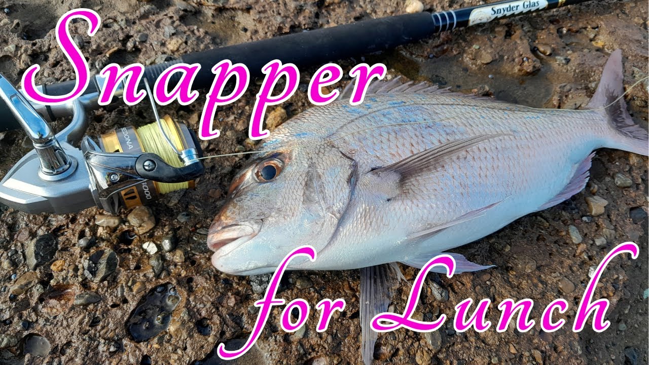 Catch and Cook a Snapper Lunch