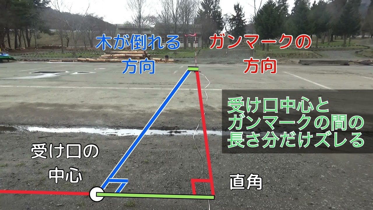 受け口作成トレーニング10 受け口を伐倒方向に合わせる