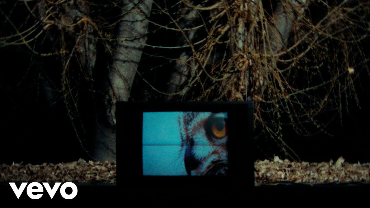 nayt feat. Elisa - Stupido pensiero (Visual)