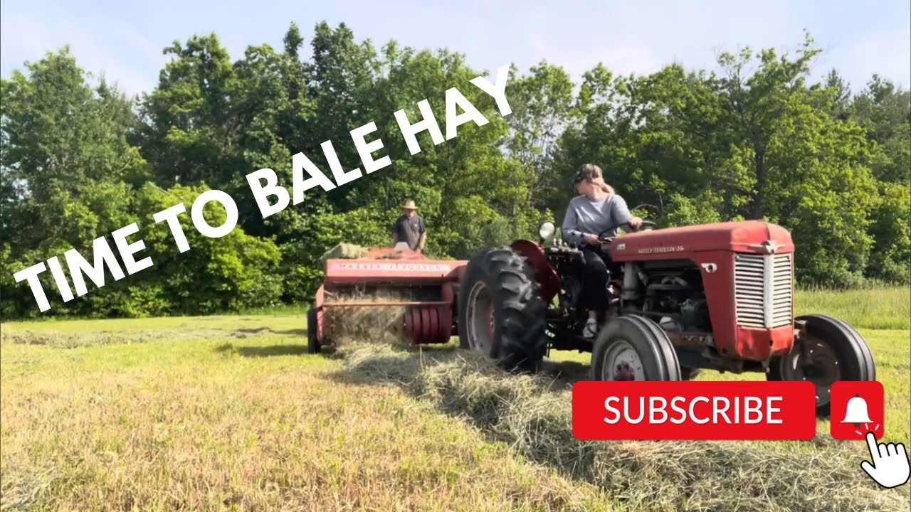 Baling Hay with a 50-Year-Old Massey Ferguson 12 baler