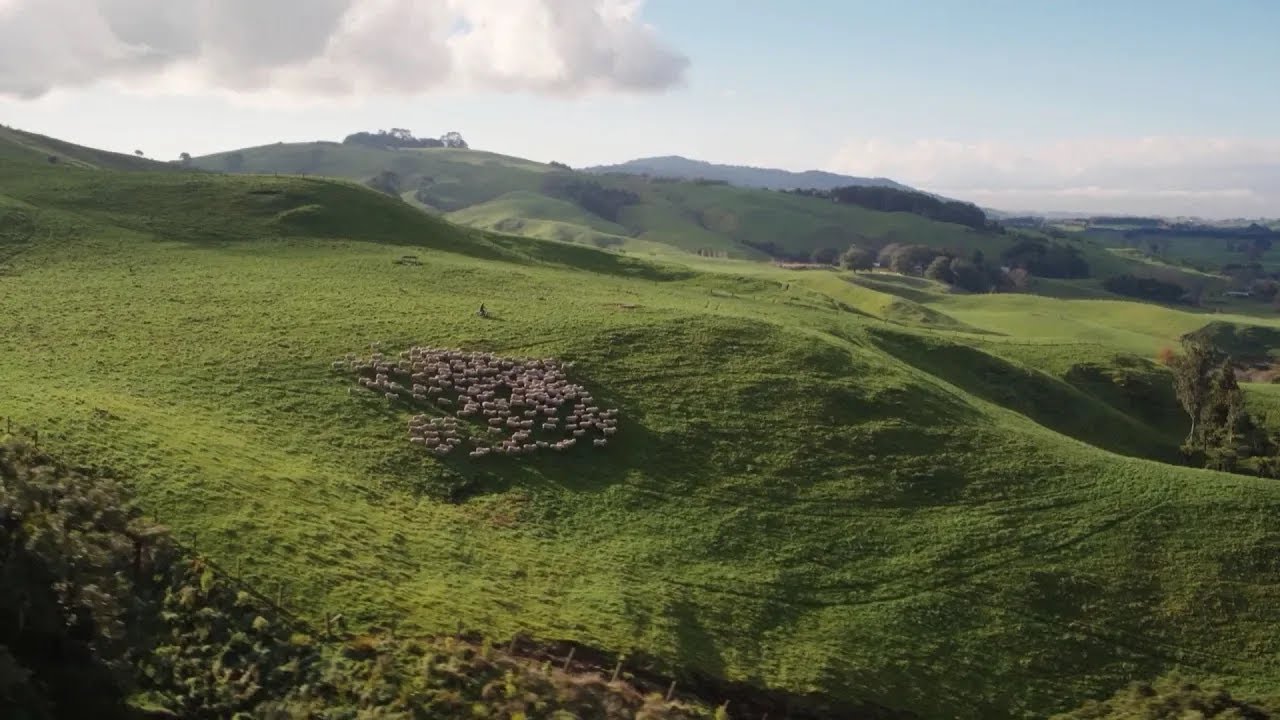 Ag Matters: How to reduce emissions
