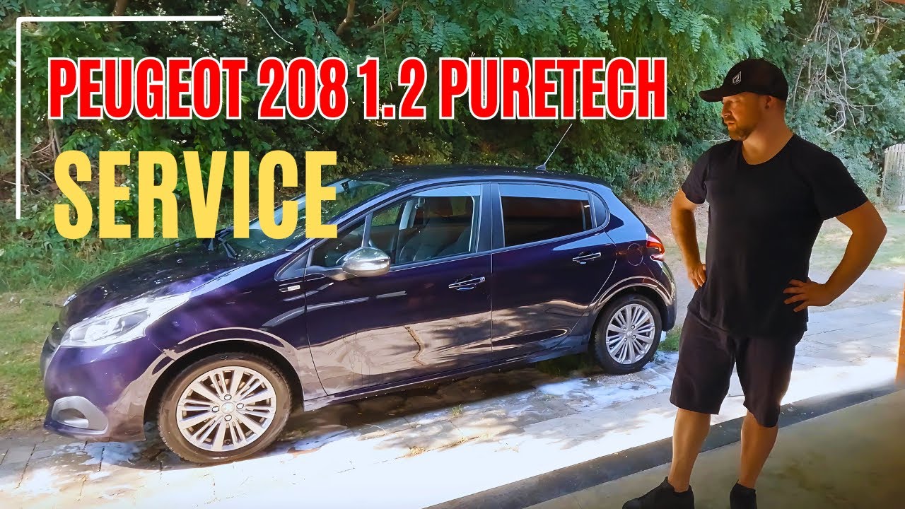Peugeot 208 Service DIY — Dealer Quoted $500, I Did It for $50