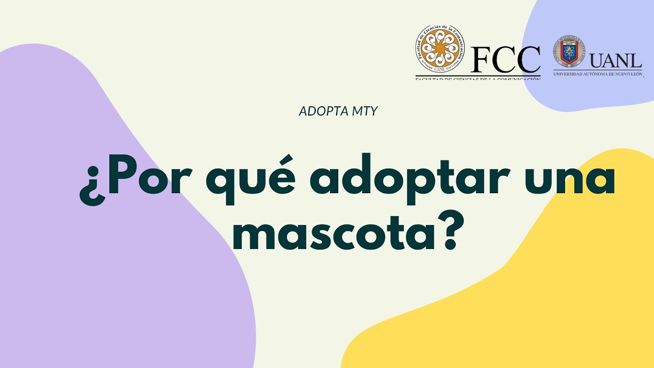&iquest;Por qu&eacute; adoptar una mascota?