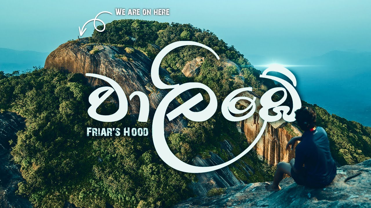 වාලිඹේ හෙල - walimbe | FRIAR'S HOOD