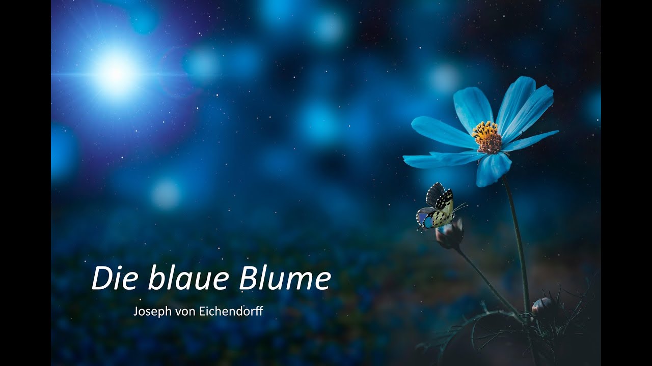 Joseph von Eichendorff - 01 - Die blaue Blume - verträumt-geheimnisvoll-romantisch, Romantik