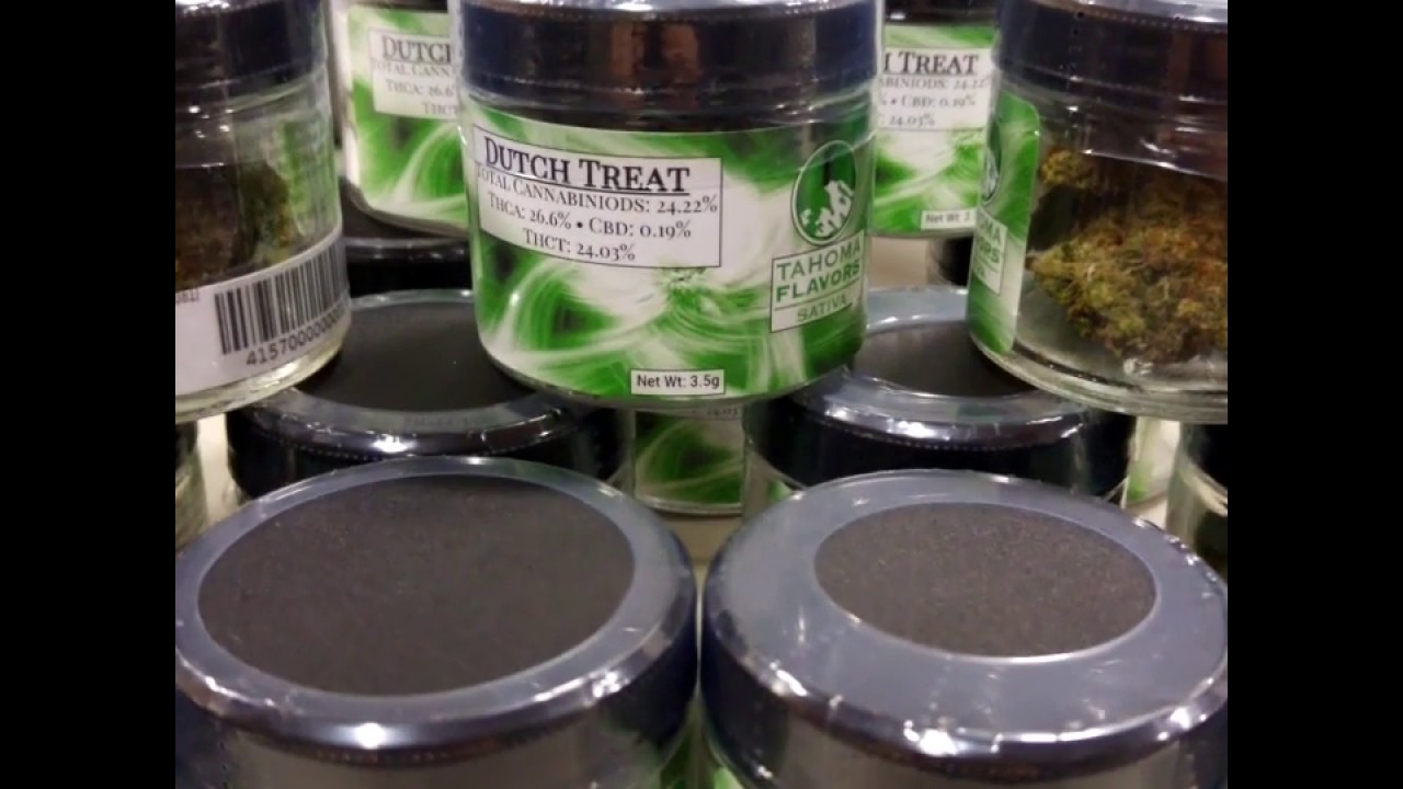 Dutch Treat: Tahoma