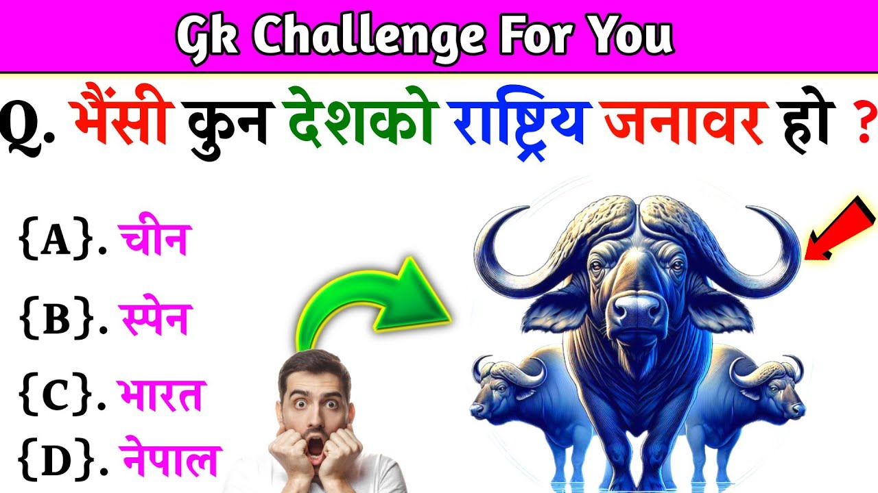 📚 Nepali GK Questions and Answers | PART 838|General Knowledge in Nepali