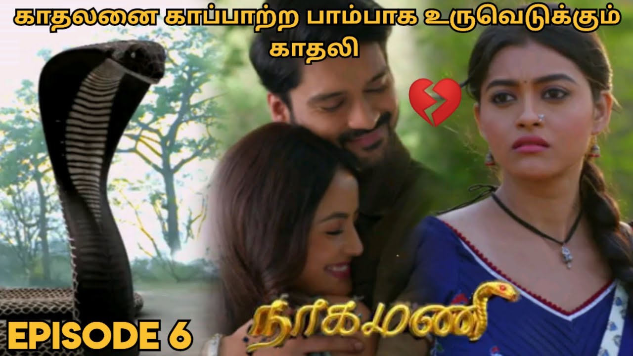 காதலனை காப்பாற்ற பாம்பாக உருவெடுக்கும் காதலி | அத்தியாயம் 6