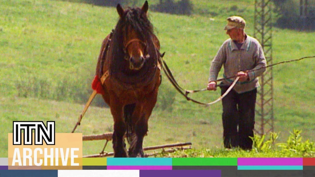 Last Days of Czechoslovakia | Between Soviet Occupation and Dissolution (1992)