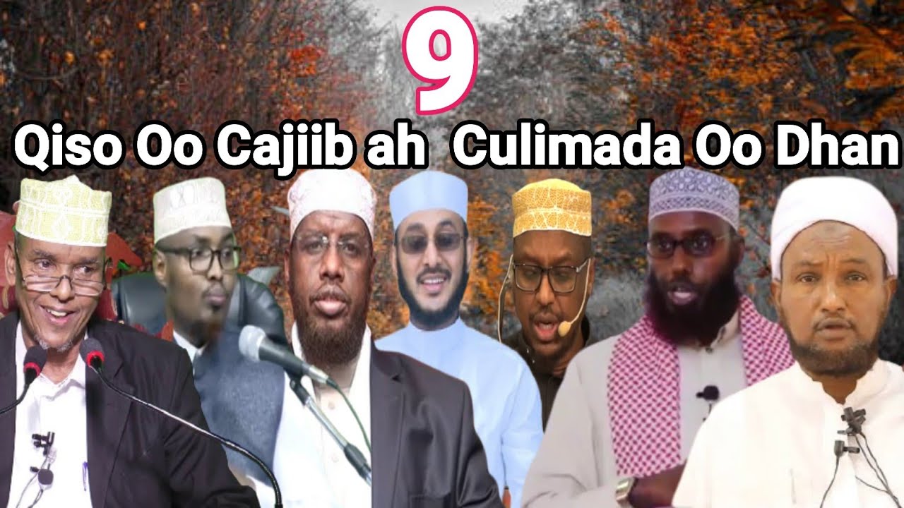 9 Qiso Oo Cajiib ah Culimada Oo Dhan