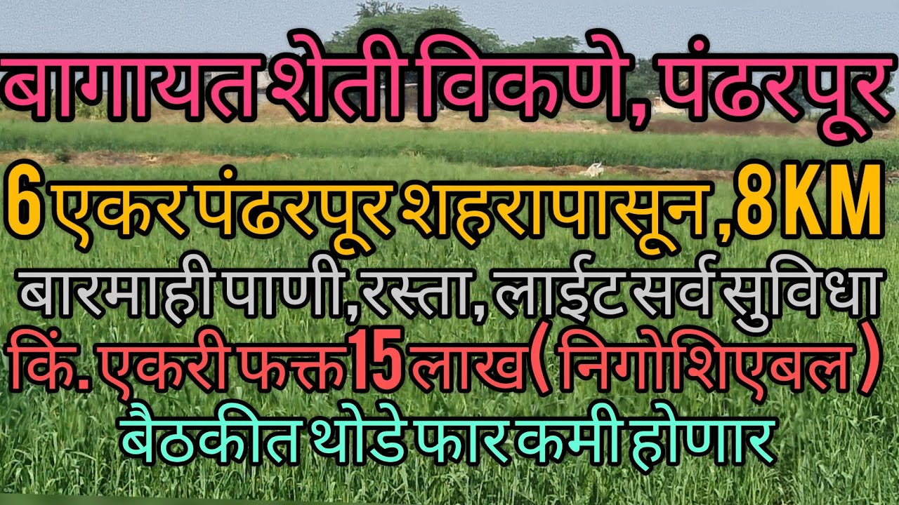 6 एकर बागायत शेती विकणे पंढरपूर, एकरी फक्त 15 लाख