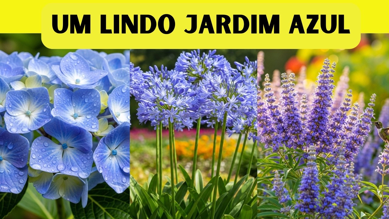 10 PLANTAS LINDAS DE FLORES AZUIS PARA SEU JARDIM