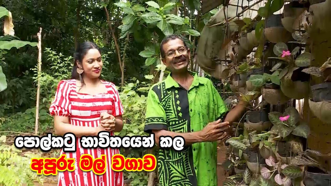පොල්කටු භාවිතයෙන් කල අපූරු මල් වගාව