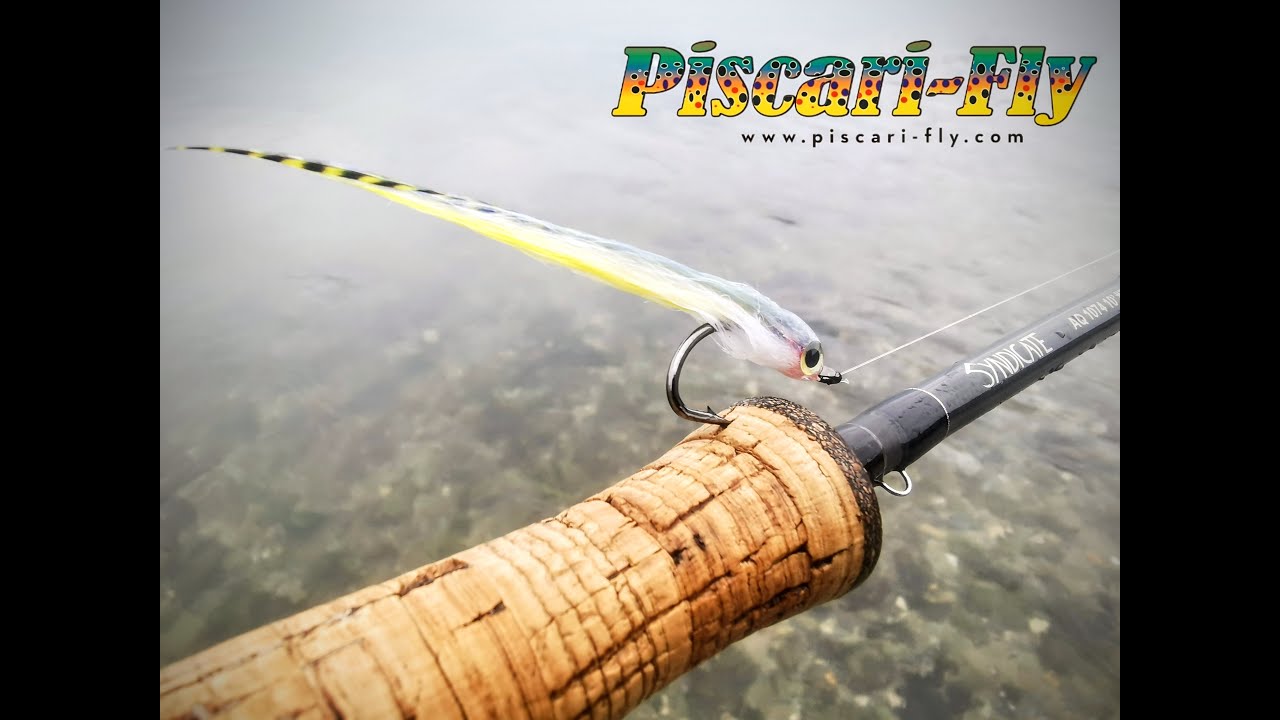 Saltwater FlyFishing for Seatrout in Ireland