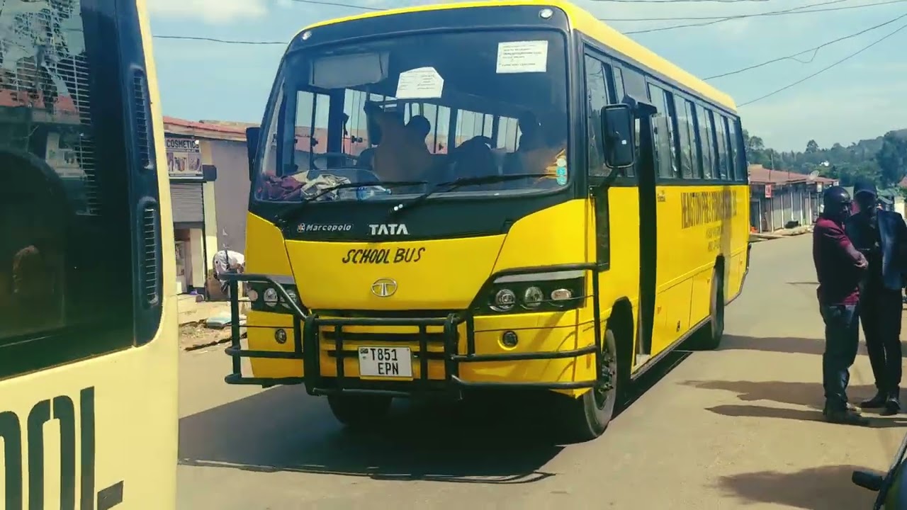Angalia baadhi ya mabasi ya Shule. Heagton usafiri ni uhakika