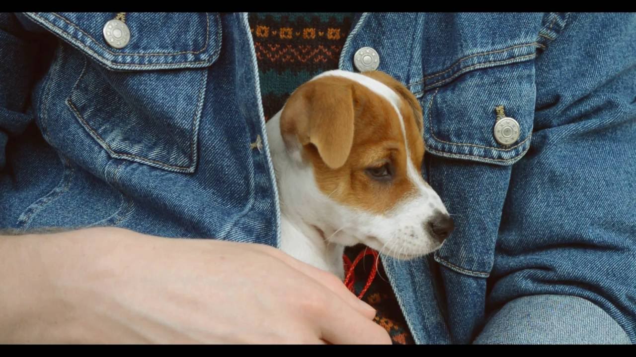 Galaxisok - Soha nem veszi fel