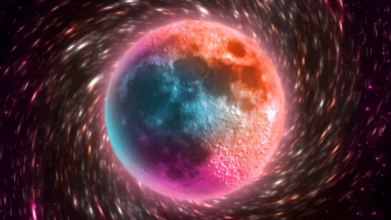 𝐁𝐥𝐚𝐜𝐤 𝐖𝐢𝐧𝐠 - 𝐁𝐨𝐥𝐥𝐲𝐰𝐨𝐨𝐝 𝐀𝐩𝐨𝐥𝐨𝐠𝐞𝐭𝐢𝐜𝐬 ✧