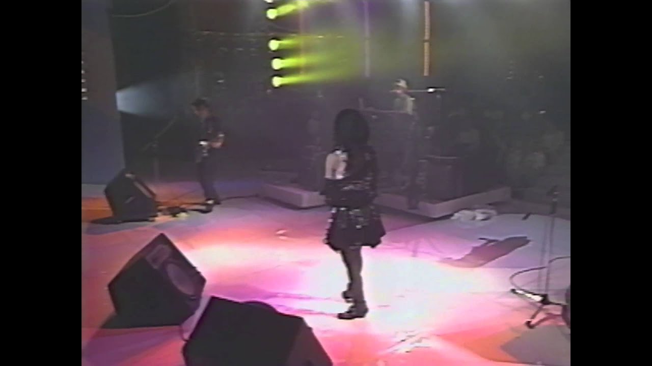 NUTS TO YOU～Love's Rock 'n' Roll Circus 1990-05-04