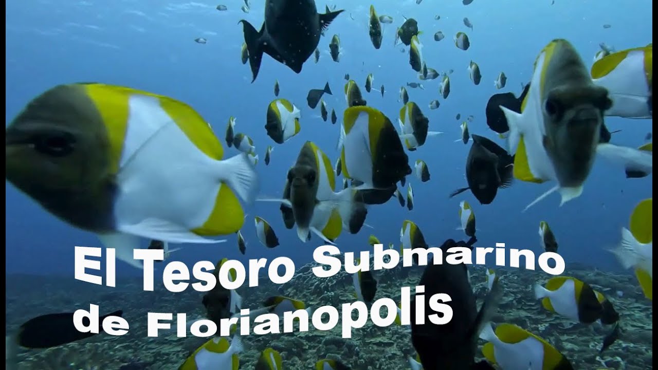 ¡Esto es lo que se esconde bajo el Paraíso de Florianópolis!