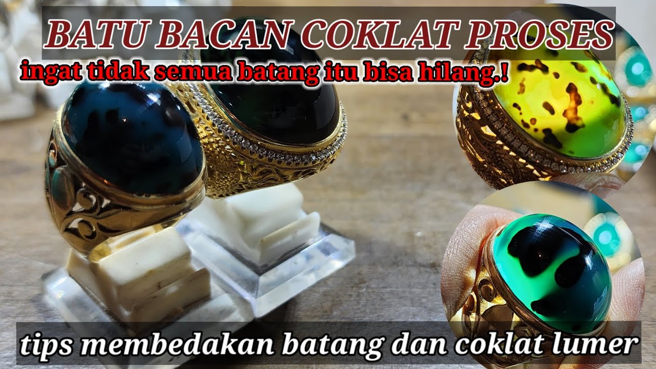 perbedaan bacan batang coklat lumer dan batang coklat bandel.   #bacancoklat #batubacan