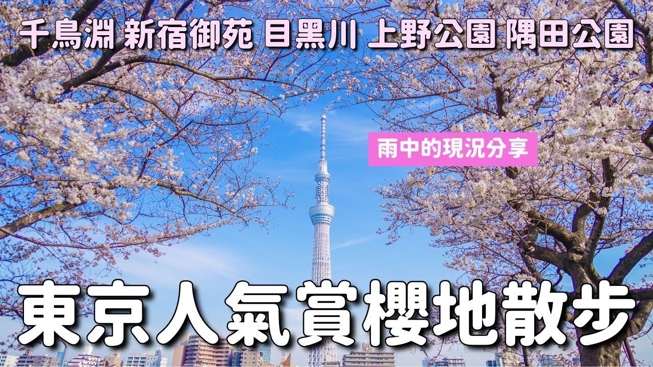 雨中的5個東京人氣賞櫻地櫻花散步 千鳥淵 目黑川 新宿御苑 上野公園 淺草隅田公園｜賞櫻重點整理｜日本東京賞櫻攻略 4K VLOG