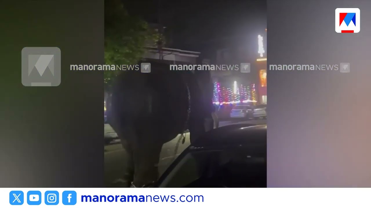 വടക്കാഞ്ചേരി ദേശത്തിന്റെ ആന വിരണ്ടോടി; പരുത്തിപ്പുറയിൽ പരിഭ്രാന്തി | Elephant | Uthralikkavu Pooram