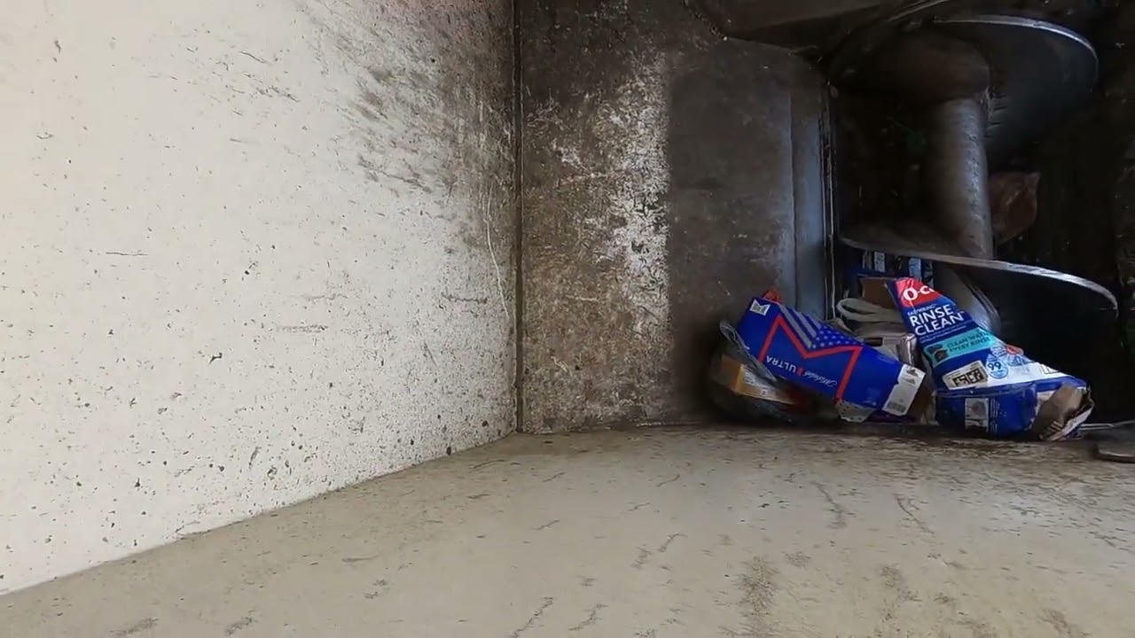 [‼️WATCH THIS‼️] Leaves Get Dumped Into Auger and Crushed!