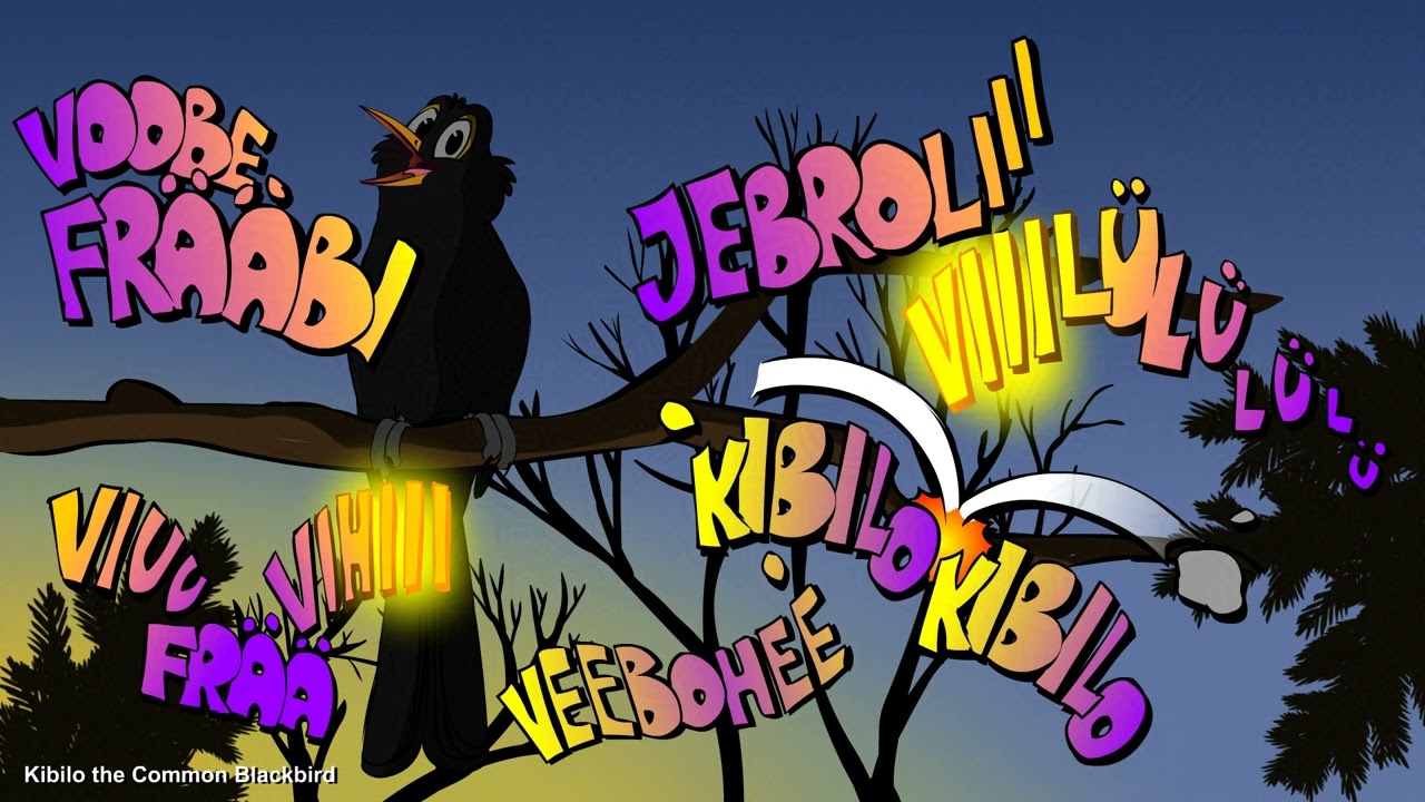 Kibilo the Common Blackbird 2025 (Revisit)
